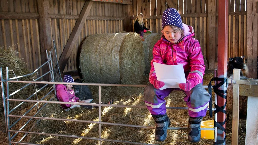 Individuellt. I fårhusets klassrum kan eleverna välja plats att läsa på efter eget huvud. Tyra Tillmar i förgrunden.