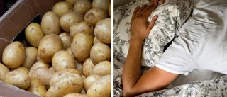 Potatis håller grannarna vakna