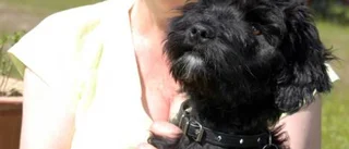 Hundvalp räddad ur brunn
