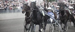 V-75-dagen en riktig folkfest