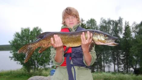 Det här är den största fisk som Tobias Rosenberg har fått. En gädda som vägde 3,85 kg.