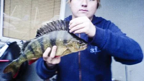 I Dannelivaarajärvi fångade Joakim Stålnacke en abborre som vägde 1,75 kg.