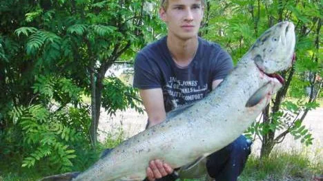 Efter tio minuters kamp fick Jacob Henriksson upp sin lax. Den vägde 14,20 kilo. En av många fina fångster i denna etapp.