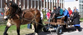 Jubileum med häst och vagn