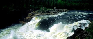 Laxfisket i Norrbotten