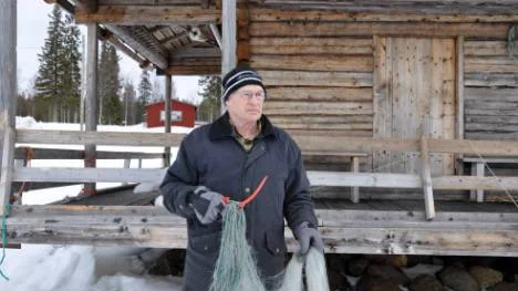 Bertil Bodlund säger att det måste bli möjligt att fiska med nät i kusten under hela året. "Sälen tar mycket mer än allt fiske tillsammans". FOTO: K-L Sundqvist