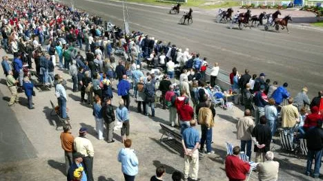 V75-tävlingen på Bodentravet är årets stora folkfest för travpubliken. Men den 19 juni tvingas tävlingen byta tid för att inte kollidera med kronprinsessan Victorias bröllop. Istället kommer loppen att avgöras under kvällen och natten i ett historiskt midnattstrav.