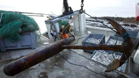 600 kilo historiskt ankare lyfts iland från Janne Holms fiskebåt i Lövskärs fiskehamn.FOTO: Pär Bäckström