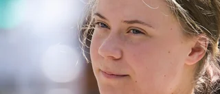 Greta Thunberg gripen i Nederländerna