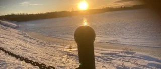 Dagens läsarbild: Soligt i södra hamn