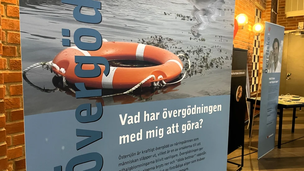 Mycket har gjorts rätt, men det finns mycket kvar att göra.
Bilden visar en del ur utställningen I love Östersjön. 
