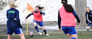 Pettersson redo för en större roll – i SSK:s blå dress
