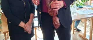 Årsstämma synskadades vänner Visby