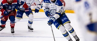 VIK värvar talangfull center från SHL