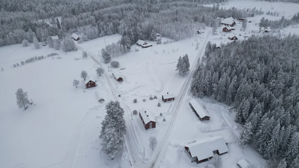 Här i Rönnliden kommer bilarna att passera. Publiken får se förarna ta sträckans mest tvära kurva.