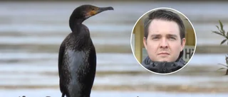Carl-Wiktor Svensson (KD): inför skottpeng på skarv