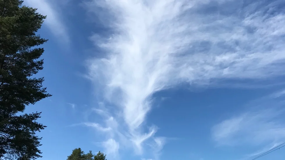 Läsarbild: Promenad i Notviken. En förmiddagspromenad i Notviken, Luleå. Bilden är tagen av Anita Kenttä. Har du också en bild du vill dela med dig av? Mejla till familj@kuriren.com. Ange dina kontaktuppgifter och beskriv bilden kort.