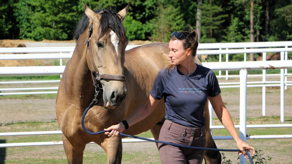 Astrid Hedman slutade på en mycket fin tolfte plats i EM i Working Equitation.