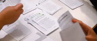 Kan det låga valdeltagandet förklara resultatet?