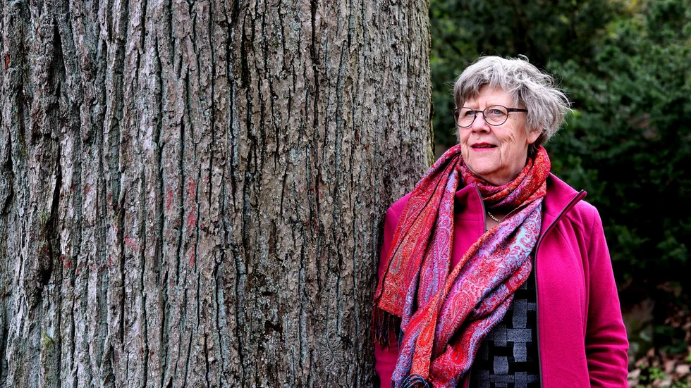 Agnes Wold, svensk läkare och professor i klinisk bakteriologi vid Sahlgrenska akademin vid Göteborgs universitet.