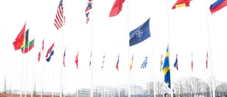 Folkomröstning om Nato är inte rimligt