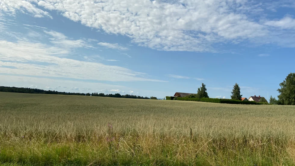 Djurkälla bör inte bebyggas med fler fastigheter. Det menar insändarskribenterna.