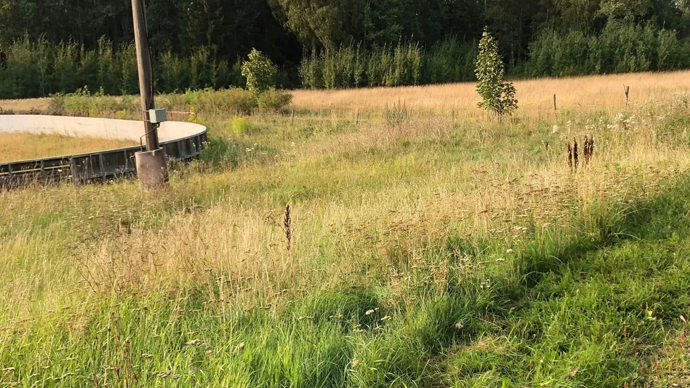 Högt gräs breder ut sig på skolgården där eleverna ska leka. Till vänster på bilden ser man den klassiska månskensrinken i Vendel.