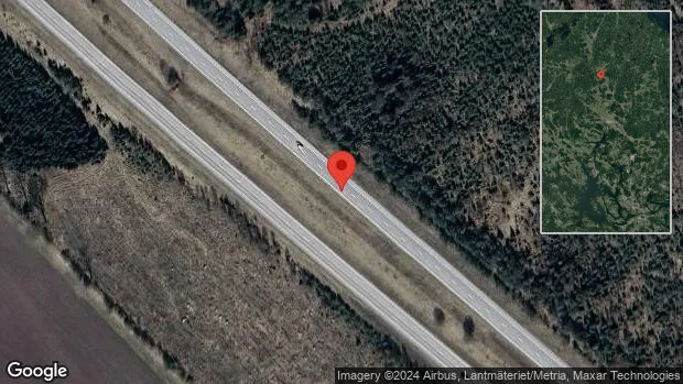 Rådjur på fel sida av viltstängslet på E4