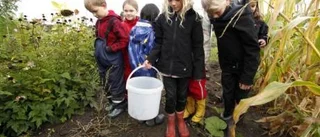 Folk ger pumpor till ledsna barn