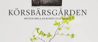 Från kulturoas till en modern kulturmötesplats på Sudret
