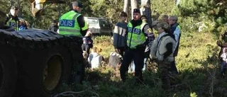 Avverkning pågår