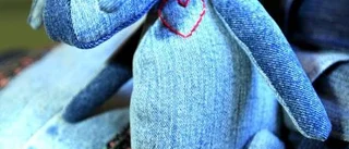 Fiberfrossa på Langska huset