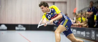Nödvändig seger för Visby IBK i allsvenskan