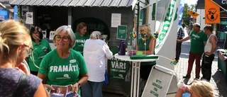 Så mycket satsar partierna på valet