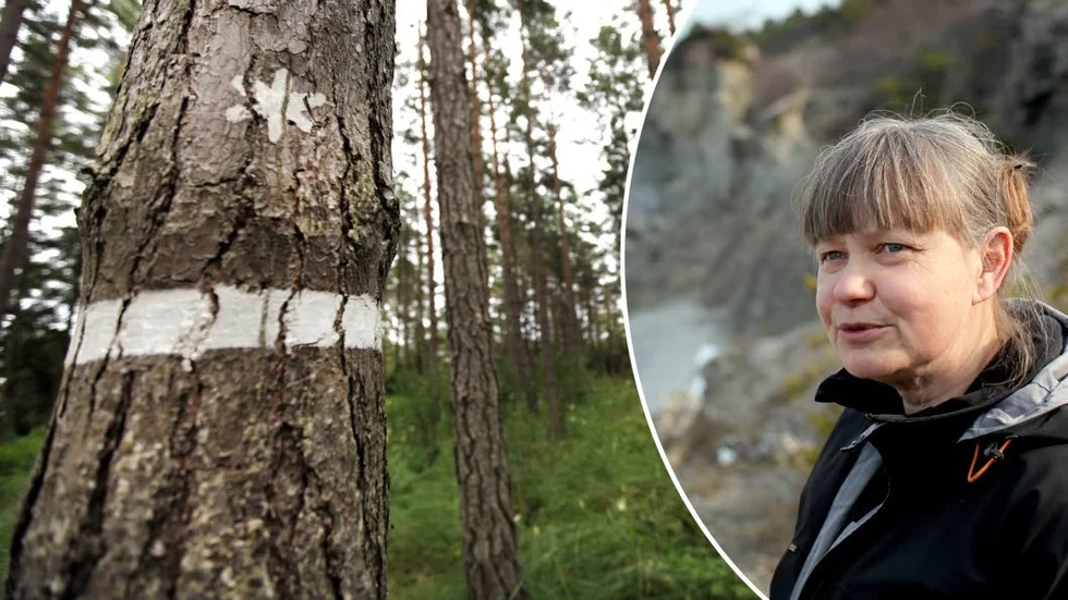 Anna-Lena Fritz, chef för Naturvårdsenheten på Gotland, menar att regeringens prioriteringar öppnat för fler reservat.