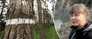 Gotland får allt fler naturreservat