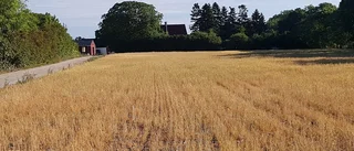 EFTERLYSNING Era bilder på torkan
