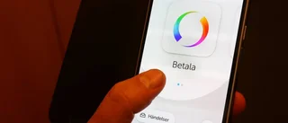 Skattefusk och fel hos en tredjedel