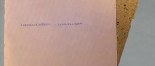 Rikligt med fakta om lumppappersbruket i Lummelunda