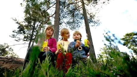 nöjda. Sara Virgin Karlsson, snart 7 år, och kompisen Klara Jenssen, 6 år, och hennes tvåårige lillebror Kalle trivdes på Skogens dag vid Skogsholm.