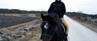 Upptäck Gotland från en hästrygg