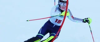 Dubbla segrar för Ylva Stålnacke