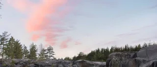 Hon når en jättepublik med sina naturbilder