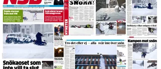 Det verkade aldrig sluta snöa