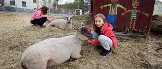 Från begravning – till egen bondgård