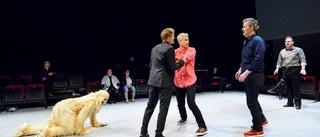 Pistolhot med burlesker och raggningstips