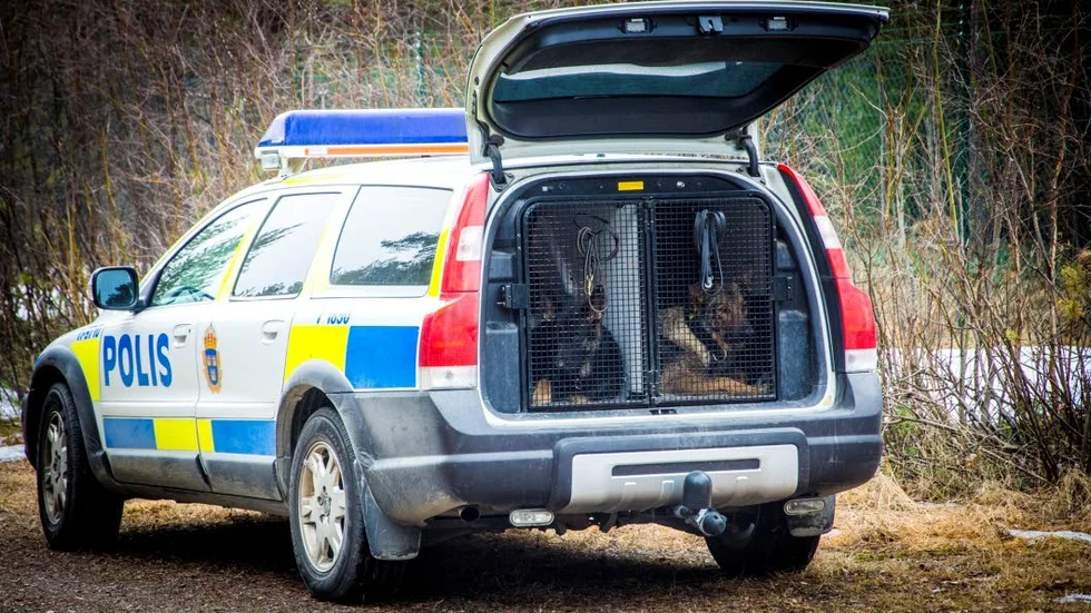 Hundpatrull. Polisen söker av området med polishundar.