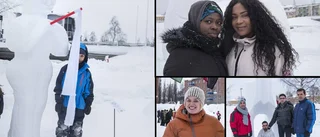 Gemenskap runt skapande i snö