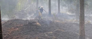 Efter veckans skogsbrand: "Det behövs mer regn"