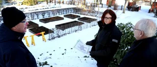 Striden är över och trädgården är tryggad